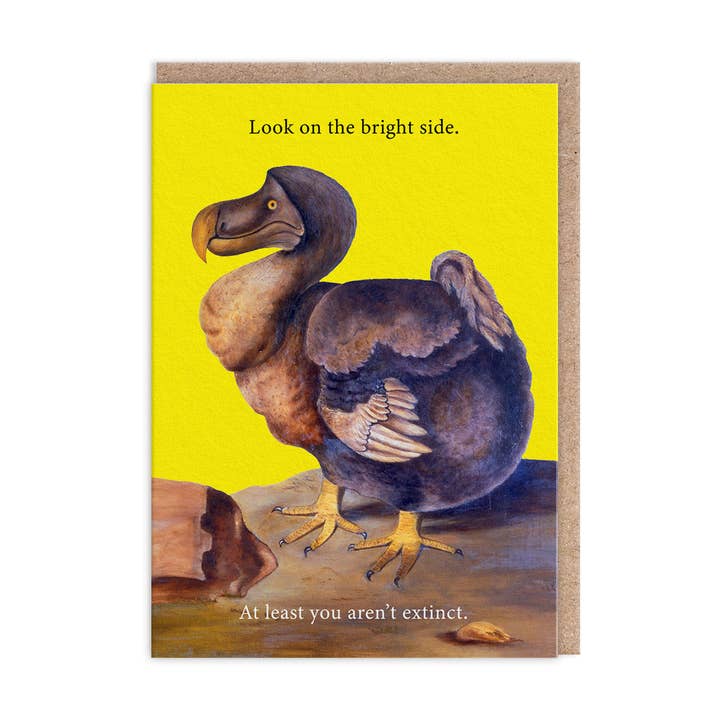 Karte heller Seite Dodo