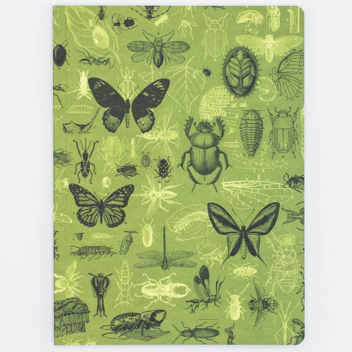 Insekten Schmetterlinge & Käfer Softcover Notebook | DOT -Gitter