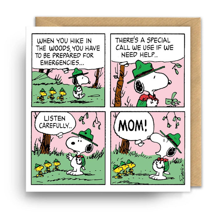 Karte Snoopy Notfälle