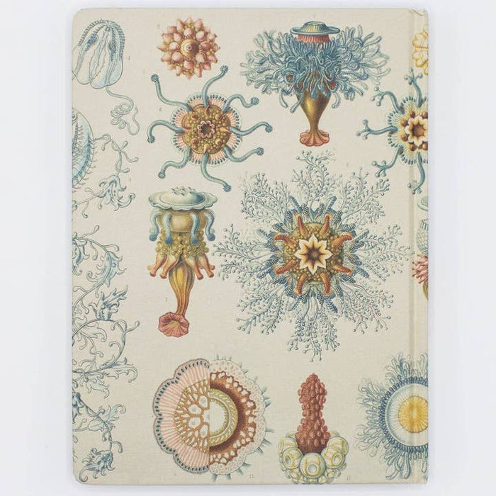 Haeckel Quallen Hardcover Notebook | Leer